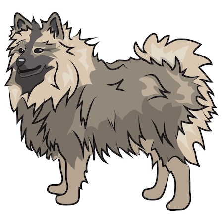 Signmission Keeshonden Dog Decal, Dog Lover Decor Vinyl Sticker D-12-Keeshonden